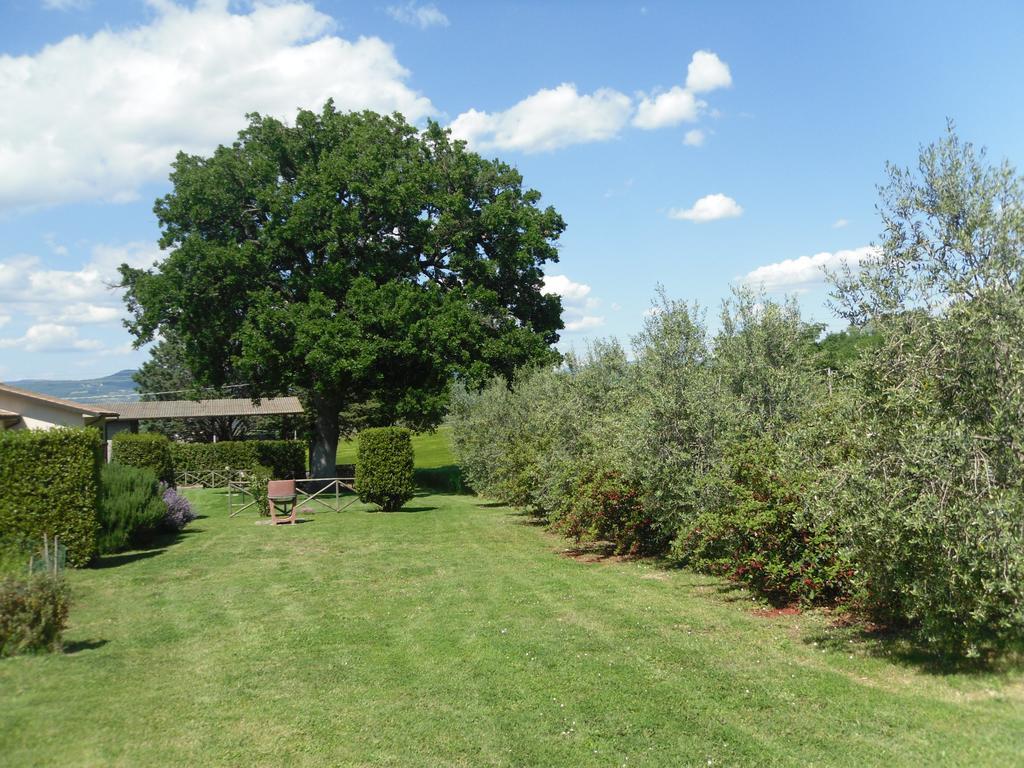 Agriturismo Il Giardino Сатурния Экстерьер фото